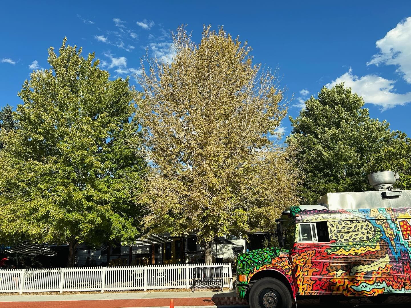 The Magic Food Bus at an outdoor catering event in Colorado